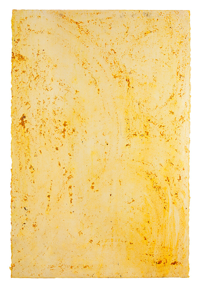 curcuma papel 02.jpg